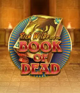 Embark on the thrilling world of Book of Dead Slot by Play'n GO, showcasing vivid graphics of Rich Wilde's journey through ancient Egyptian tombs and artifacts. Uncover lost riches with exciting mechanics like free spins, expanding symbols, and a gamble option. Ideal for those seeking adventure with a desire for exciting finds.